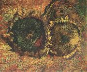 Vincent Van Gogh Two Cut Sunflowers (nn04) oil on canvas